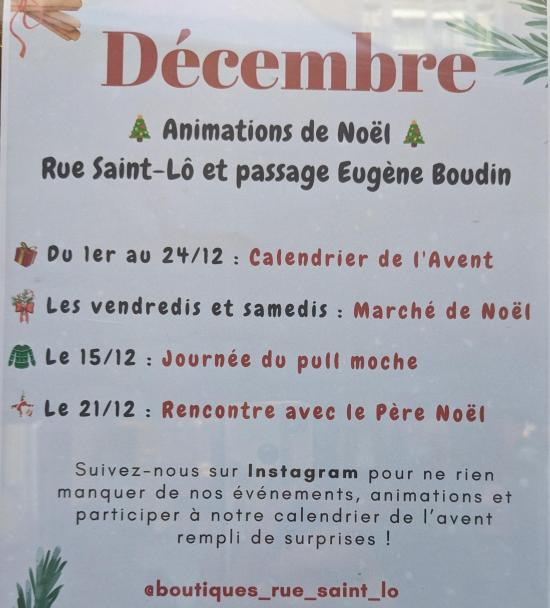 Animations de Noël Rue Saint-Lô et passage Eugène Boudin